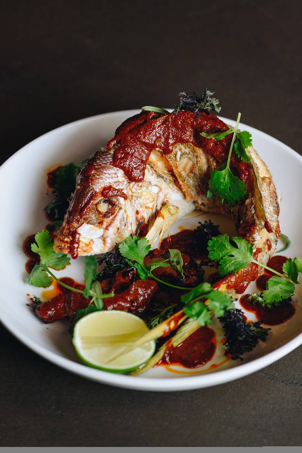 Pink Cactus Charleston | restaurant | 100 A Spring St, Charleston, SC 29403, USA | 8437649343 OR +1 843-764-9343