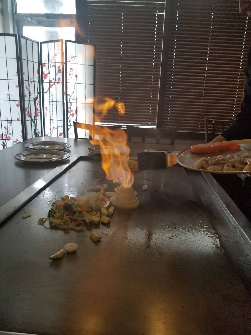 Kyoto Hibachi & Sushi | restaurant | 1425 Wisconsin Dells Pkwy #10, Wisconsin Dells, WI 53965, USA | 6082540788 OR +1 608-254-0788