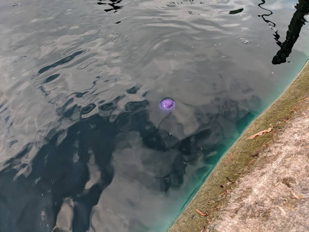 Caddie Shack | restaurant | 316 Ashley Falls Rd, Canaan, CT 06018, USA | 8608248476 OR +1 860-824-8476