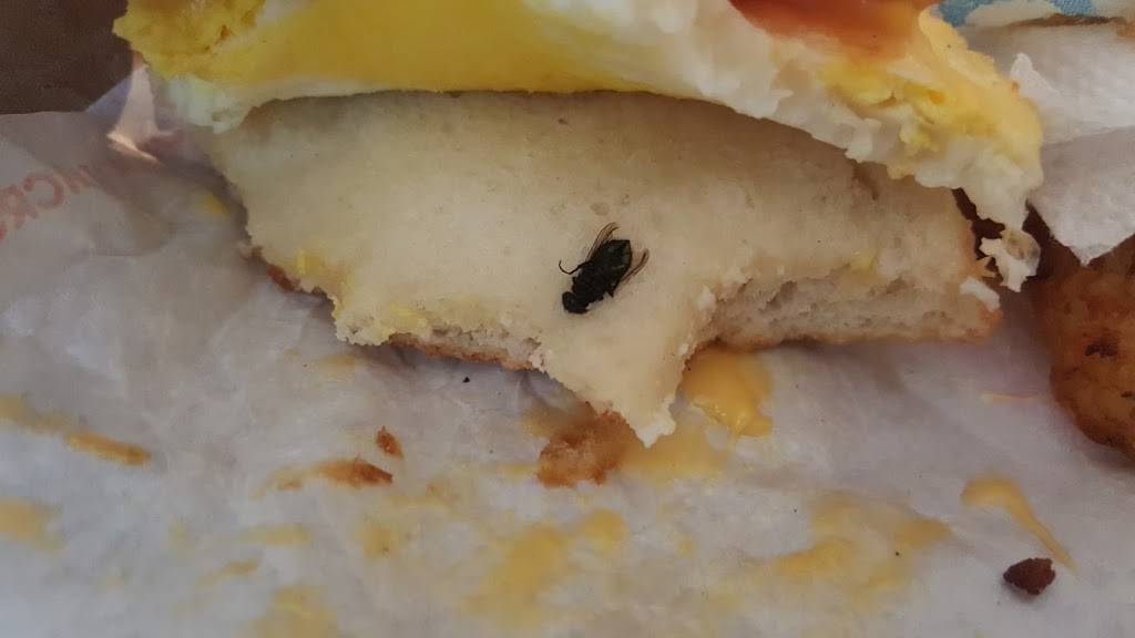 Dunkin | bakery | 9401 Battalion Ave, Fort Hood, TX 76544, USA | 2545320021 OR +1 254-532-0021