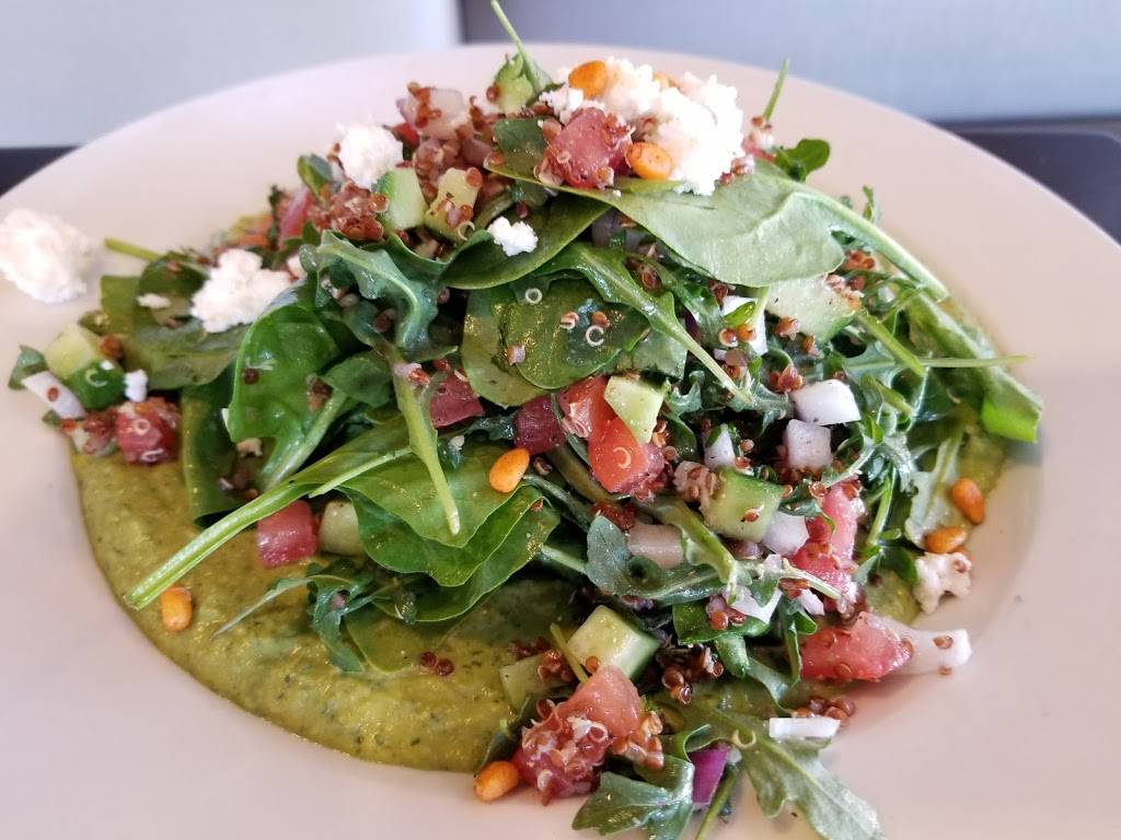 Pita Jungle - Queen Creek | restaurant | 20491 E Rittenhouse Rd, Queen Creek, AZ 85142, USA | 4809876767 OR +1 480-987-6767