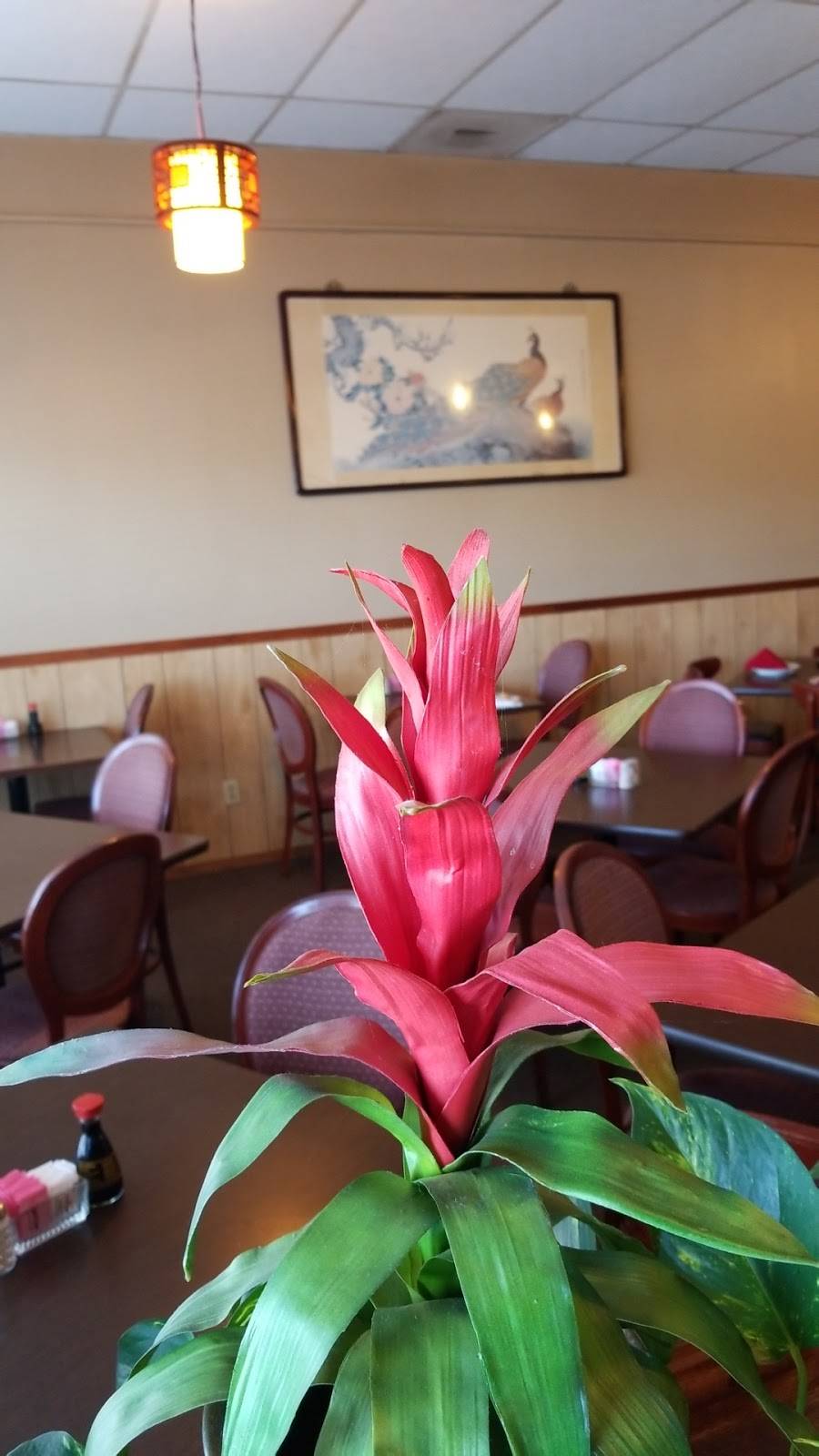 Shanghai Restaurant | restaurant | Clear Pointe Plaza 2525, 5247, US-90, Gautier, MS 39553, USA | 2284979139 OR +1 228-497-9139