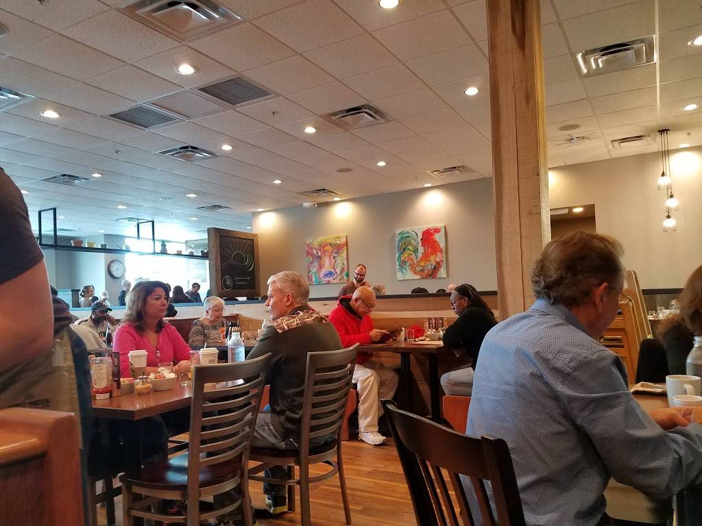 First Watch - Wesley Chapel | restaurant | 1648 Bruce B Downs Blvd, Wesley Chapel, FL 33543, USA | 8139293947 OR +1 813-929-3947