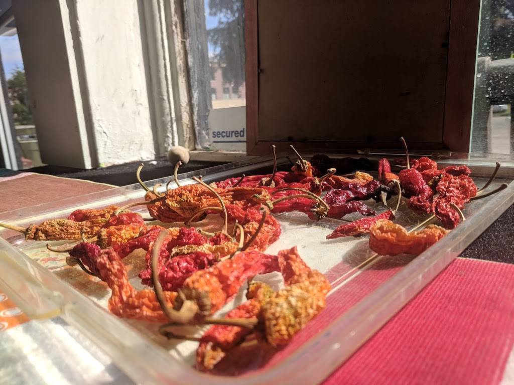 Pepes Bistro | restaurant | 1311 S 11th St, Lincoln, NE 68502, USA | 4024707217 OR +1 402-470-7217