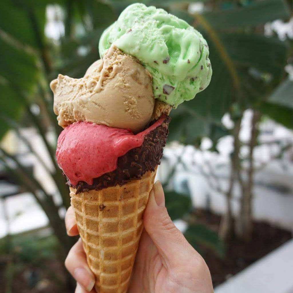 Candy & Cones | restaurant | 3555 S Ocean Dr, Hollywood, FL 33019, USA | 9546026000 OR +1 954-602-6000