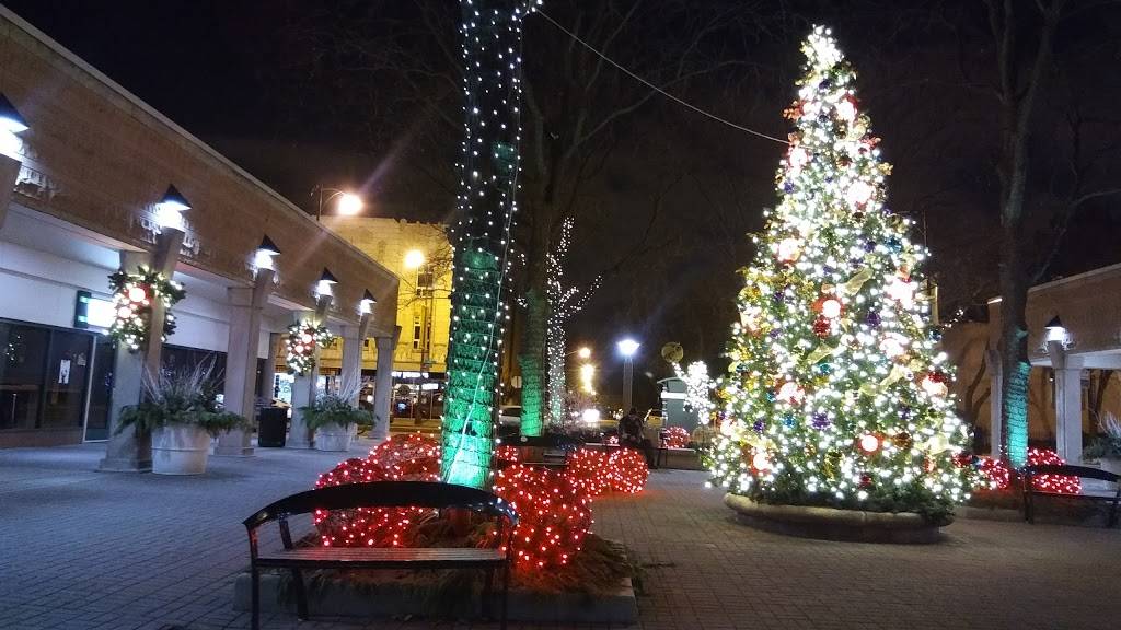 Bonjour Cafe Bakery | bakery | 1550 E 55th St, Chicago, IL 60615, USA | 7732415300 OR +1 773-241-5300