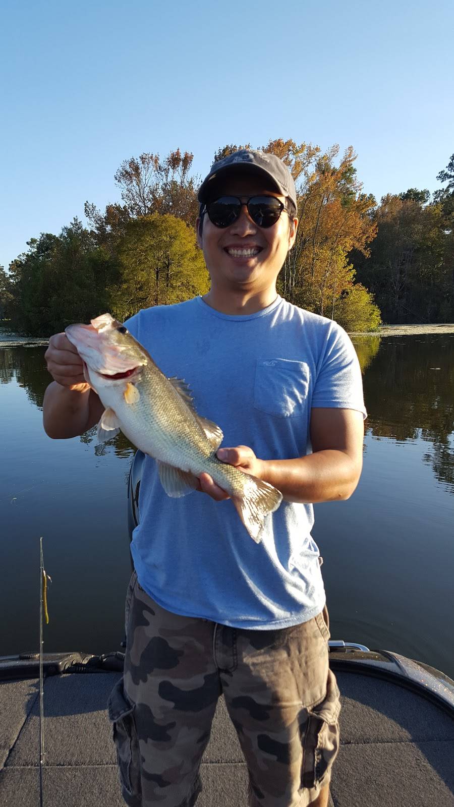 Asian Grill | restaurant | 1115 Central Ave, Summerville, SC 29483, USA | 8438216855 OR +1 843-821-6855