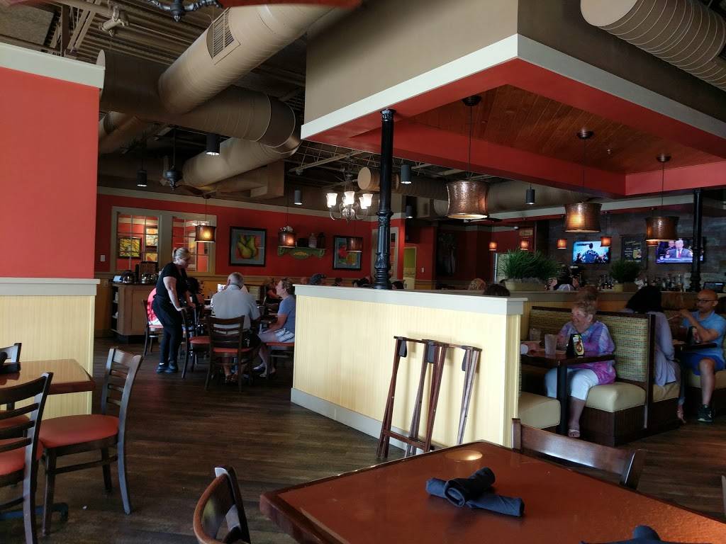 Another Broken Egg Cafe | cafe | 2554 North McMullen Booth Rd, Clearwater, FL 33761, USA | 7272400655 OR +1 727-240-0655