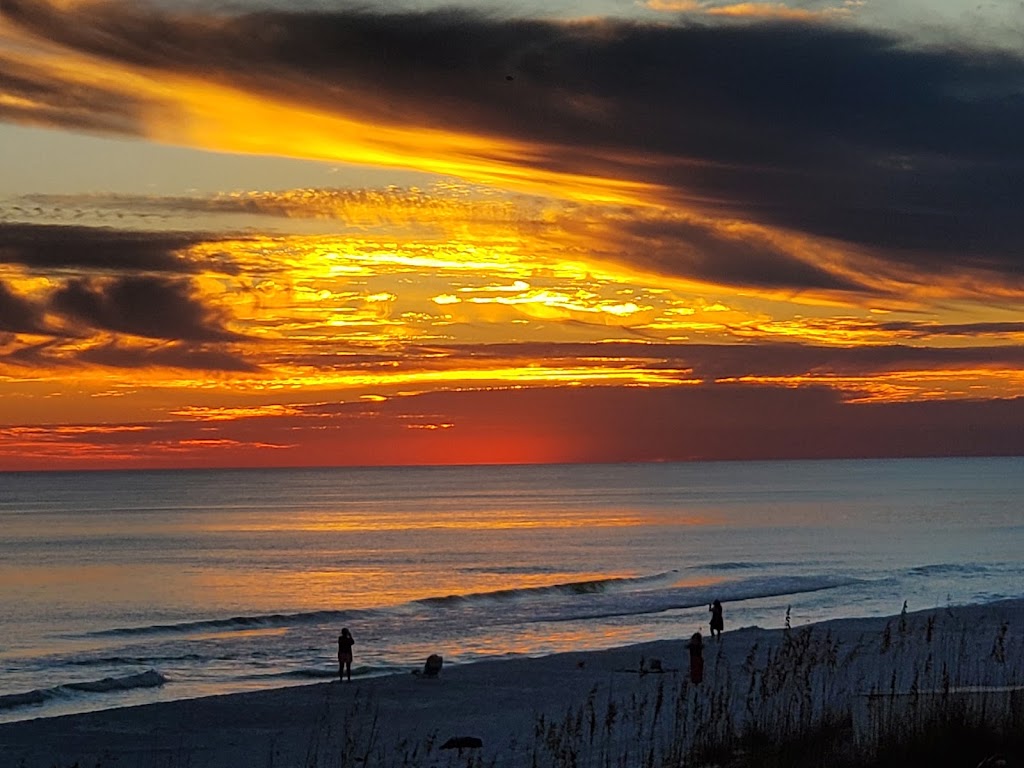 Surf Hut | restaurant | 551 Scenic Gulf Dr, Destin, FL 32550, USA | 8504607750 OR +1 850-460-7750