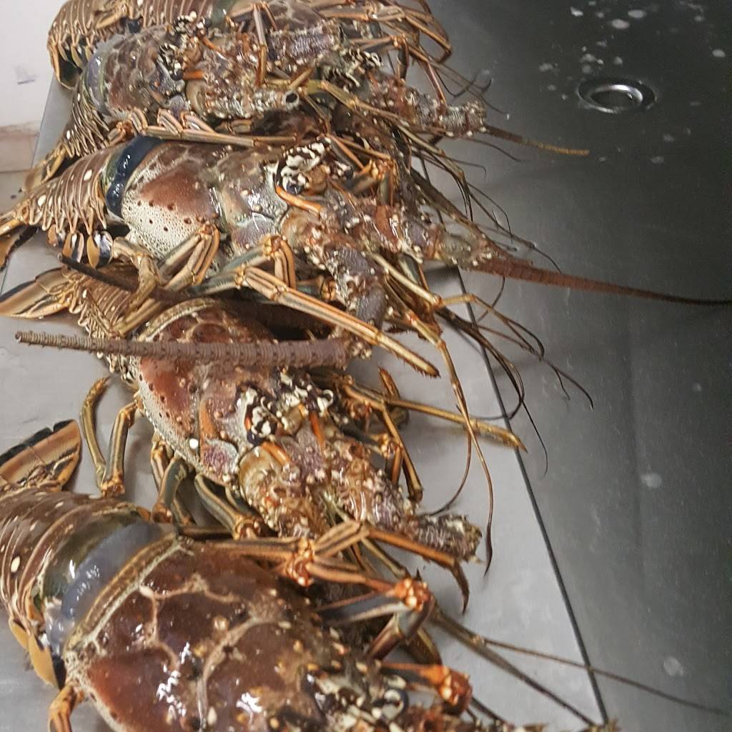 Miami Gardens Fish Market Inc | restaurant | 4112 NW 167th St, Miami Gardens, FL 33054, USA | 3057054095 OR +1 305-705-4095