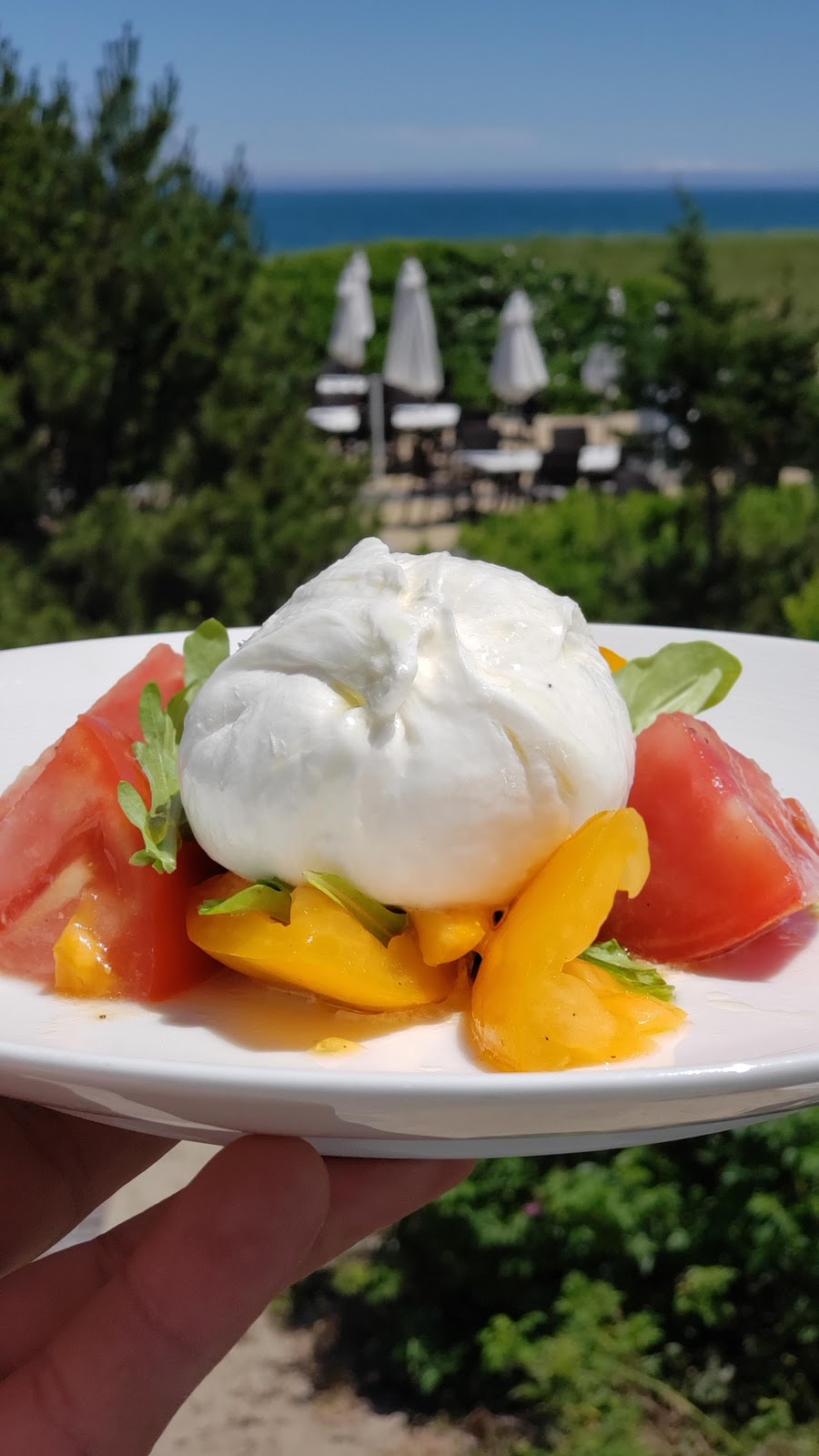 Summer House Beachside Bistro | restaurant | 16 Ocean Ave, Nantucket, MA 02554, USA | 5082574542 OR +1 508-257-4542