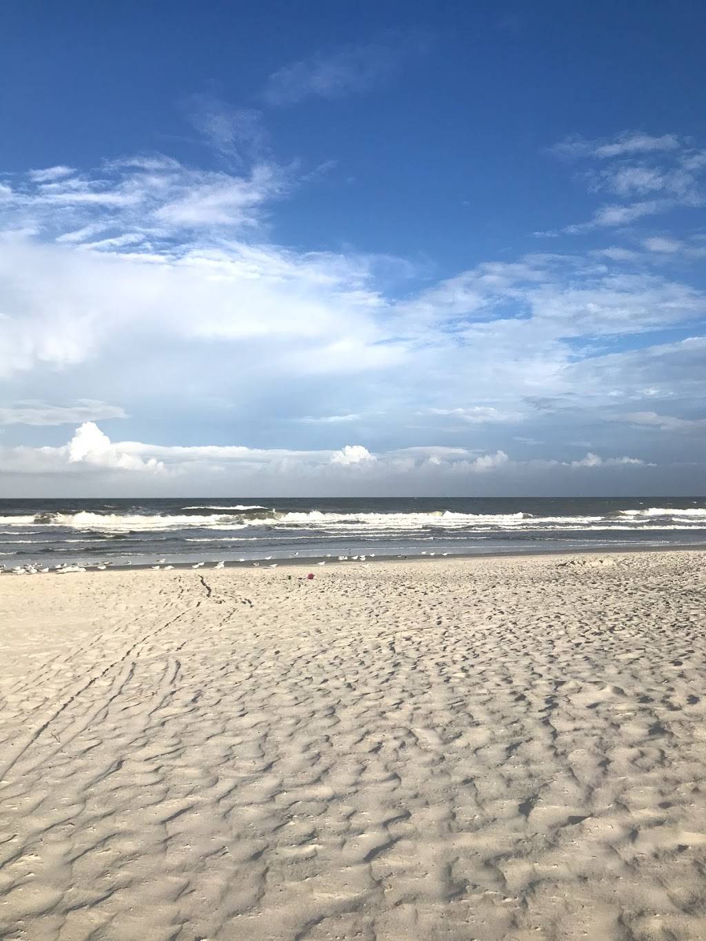 Salt | restaurant | 333 1st St N #110, Jacksonville Beach, FL 32250, USA | 9047013765 OR +1 904-701-3765