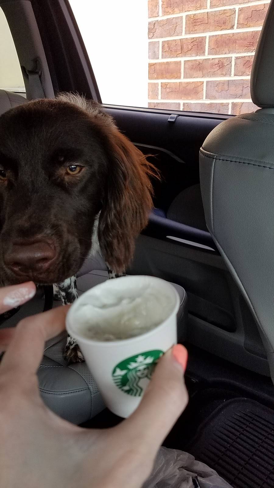 Starbucks | cafe | 6401 E Lloyd Expy, Evansville, IN 47715, USA | 8124011771 OR +1 812-401-1771