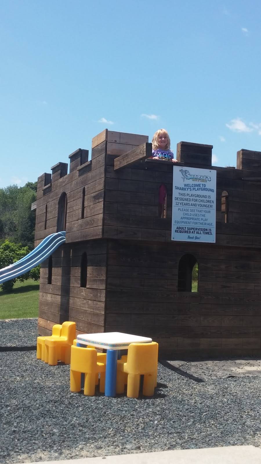 Sharkys Eats & Treats | restaurant | 9924 Alexandria Pike, Alexandria, KY 41001, USA | 8596350555 OR +1 859-635-0555