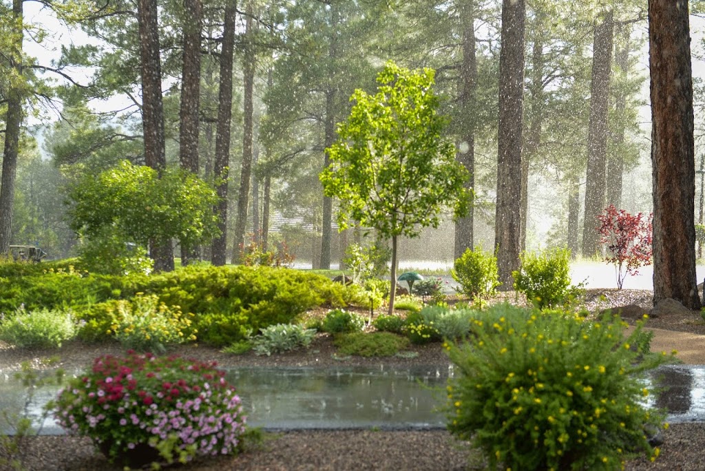 Forest Highlands Golf Club | restaurant | 2425 William Palmer, Flagstaff, AZ 86005, USA | 9285255200 OR +1 928-525-5200