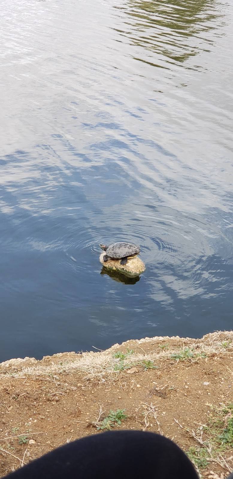 Rancho Vista Golf Course | restaurant | 3905 Club Rancho Dr, Palmdale, CA 93551, USA | 6612729903 OR +1 661-272-9903