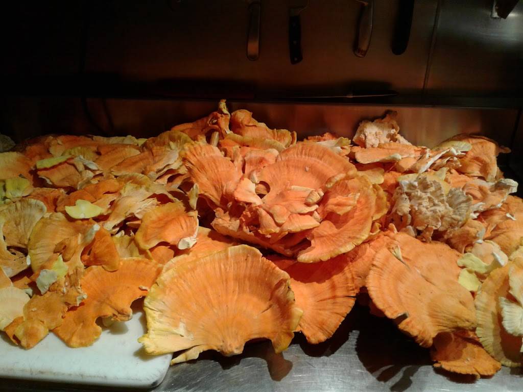 Johnnys | cafe | 4800 Roland Ave, Baltimore, MD 21210, USA | 4107730777 OR +1 410-773-0777