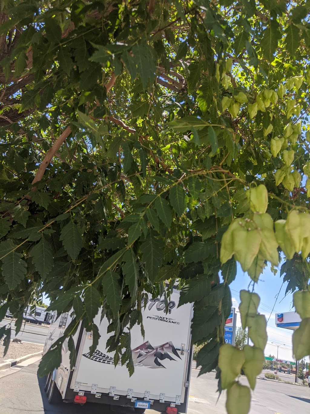 Starbucks | cafe | 2900 E Main St, Farmington, NM 87402, USA | 5056348342 OR +1 505-634-8342