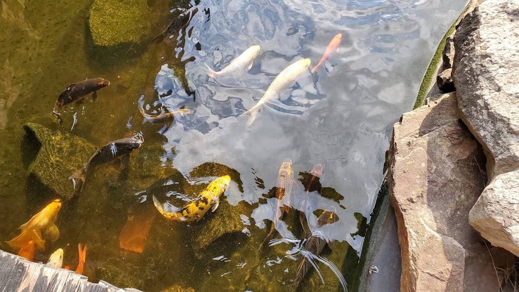 Shogun Japanese Steak & Sushi | restaurant | 3991 University Dr NW, Huntsville, AL 35816, USA | 2565343000 OR +1 256-534-3000