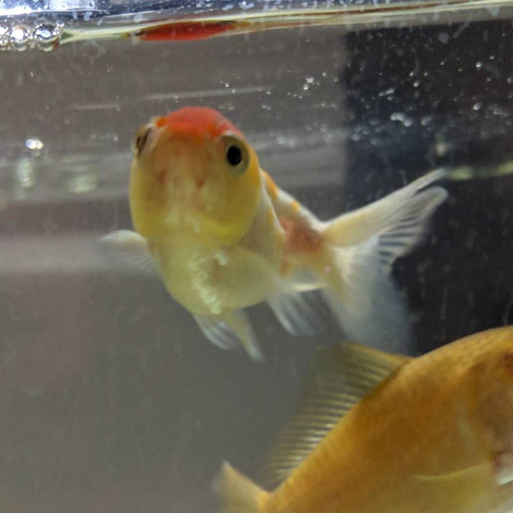 The Grind | cafe | 168 Willey St #5531, Morgantown, WV 26505, USA | 3042965297 OR +1 304-296-5297