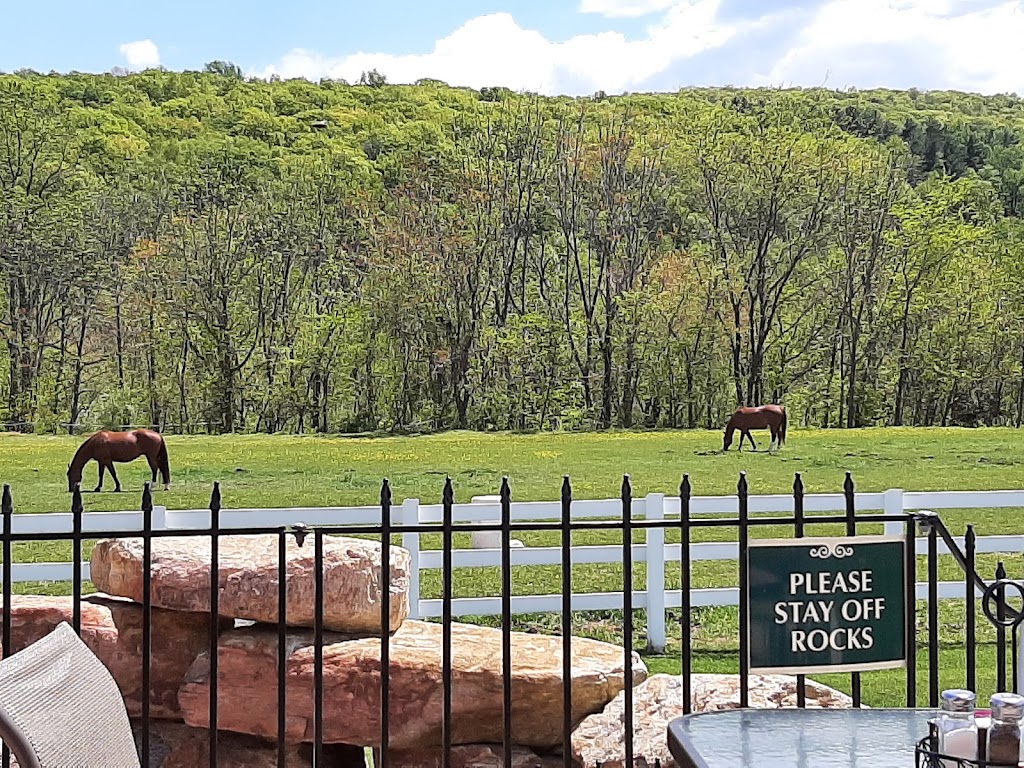 Pub 517 | restaurant | 50 Stuyvesant Rd, Green Township, NJ 07821, USA | 9088506140 OR +1 908-850-6140