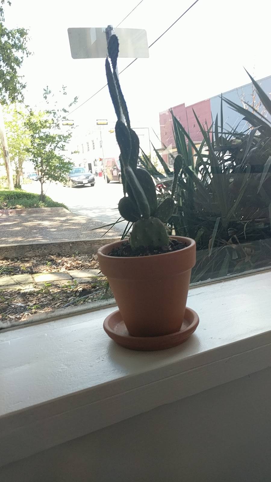 Pearls Kitchen | restaurant | 207 N Madison, Mt Pleasant, TX 75455, USA | 9032043884 OR +1 903-204-3884