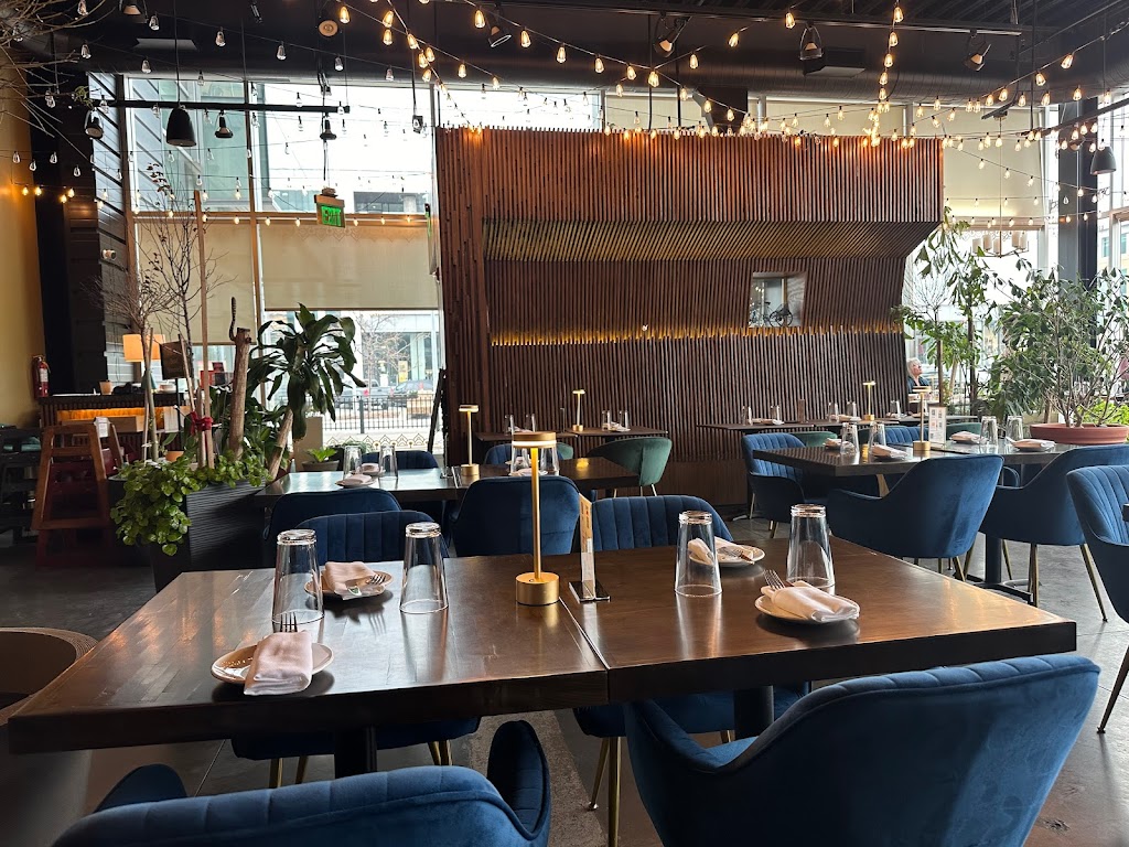 Saffron Urban Indian Kitchen | restaurant | 6706 Frances St, Omaha, NE 68106, USA | 5318678593 OR +1 531-867-8593