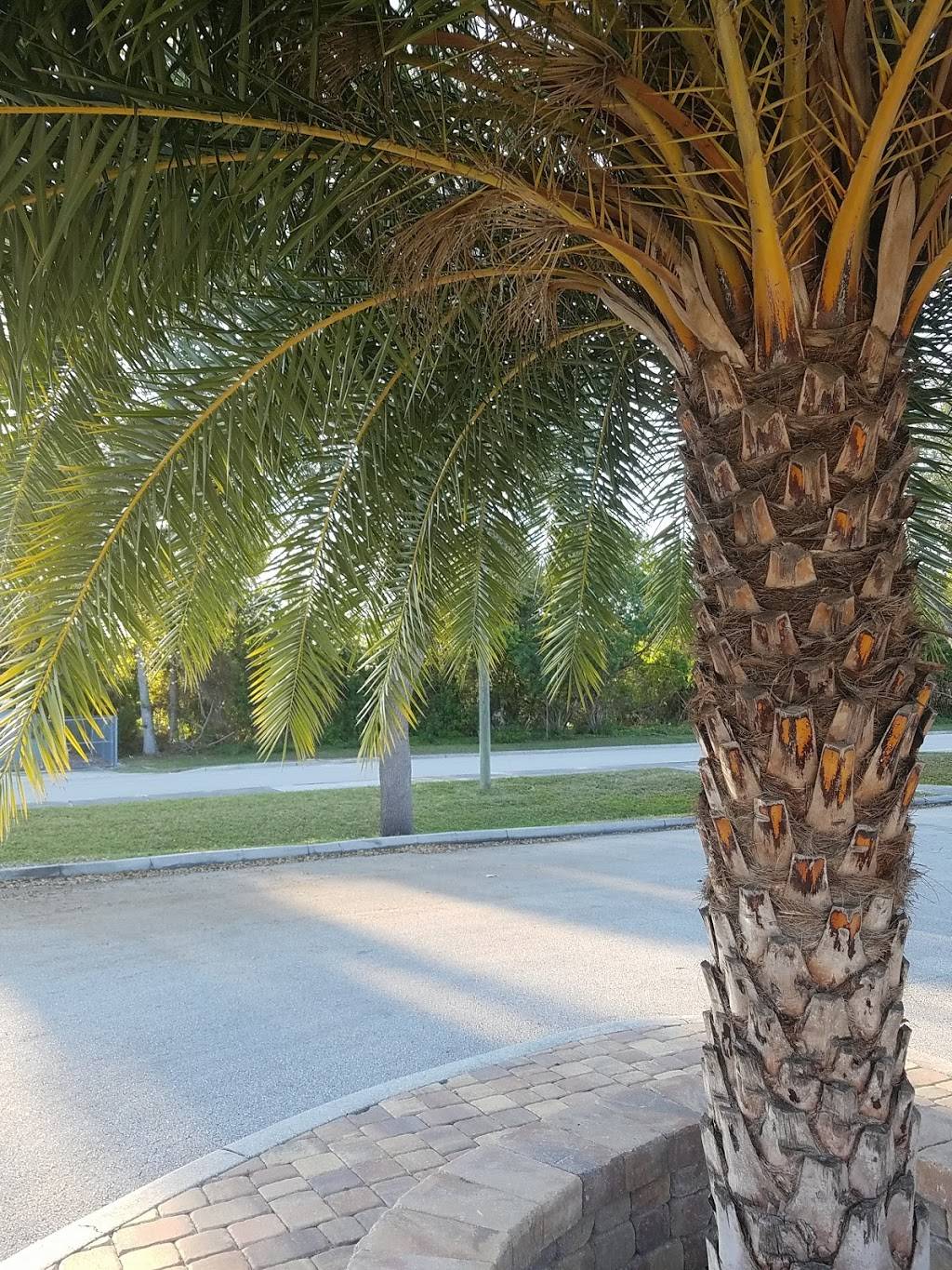 Dominos Pizza | meal delivery | 2480 Aurora Rd, Melbourne, FL 32935, USA | 3212422202 OR +1 321-242-2202