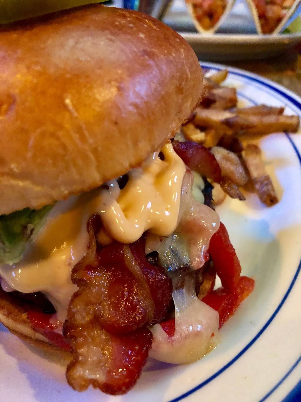 Black Bear Bar & Grill | restaurant | 205 Washington St, Hoboken, NJ 07030, USA | 2016565511 OR +1 201-656-5511