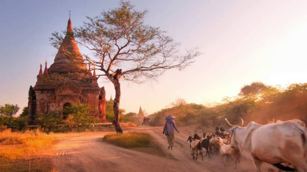 Pa Lian Burmese Restaurant | restaurant | 254 E Geneva Rd, Wheaton, IL 60187, USA | 3317167905 OR +1 331-716-7905