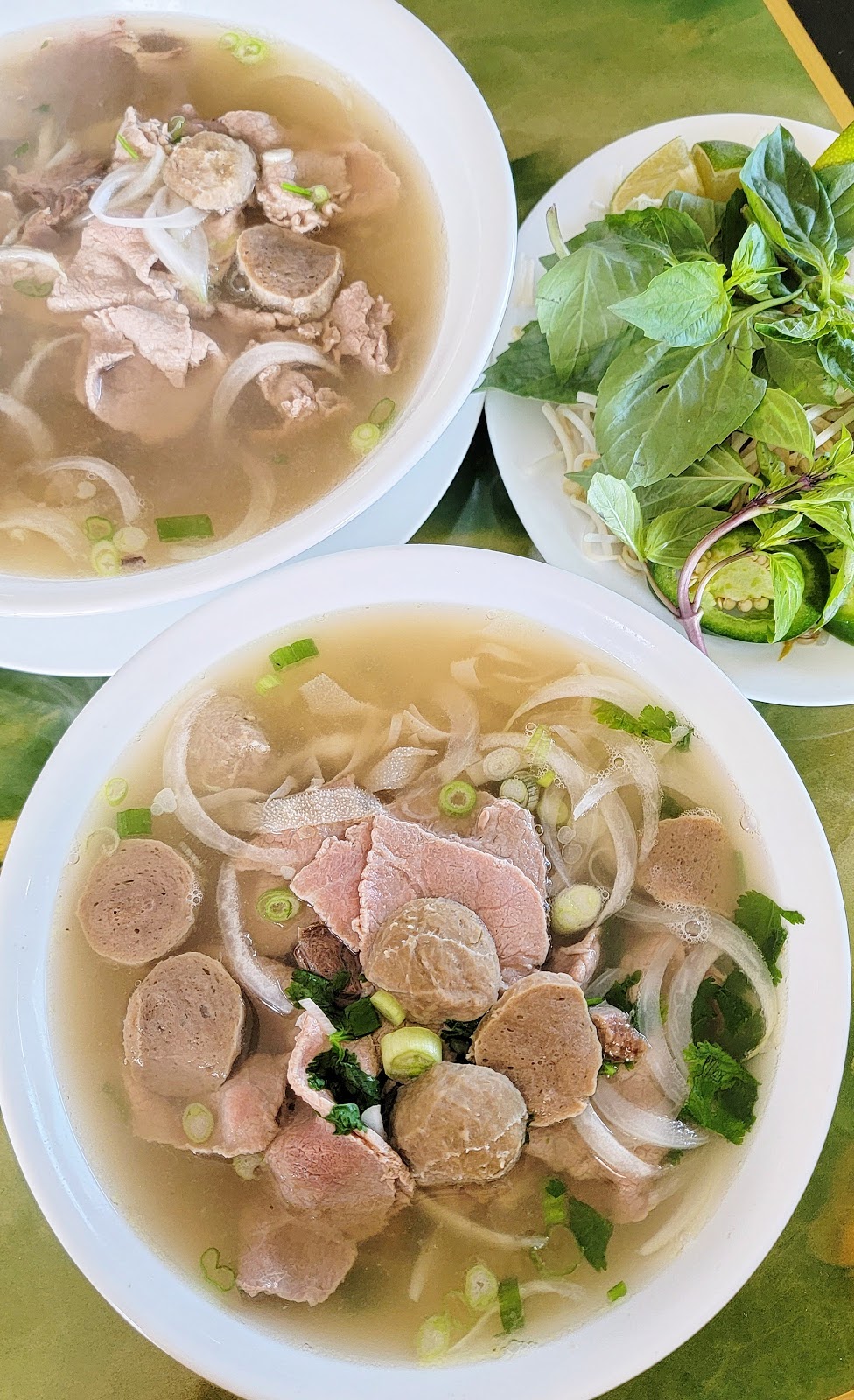 Pho Nguyen Vietnamese Noodle | restaurant | 177 S John Sims Pkwy, Valparaiso, FL 32580, USA | 8507290060 OR +1 850-729-0060