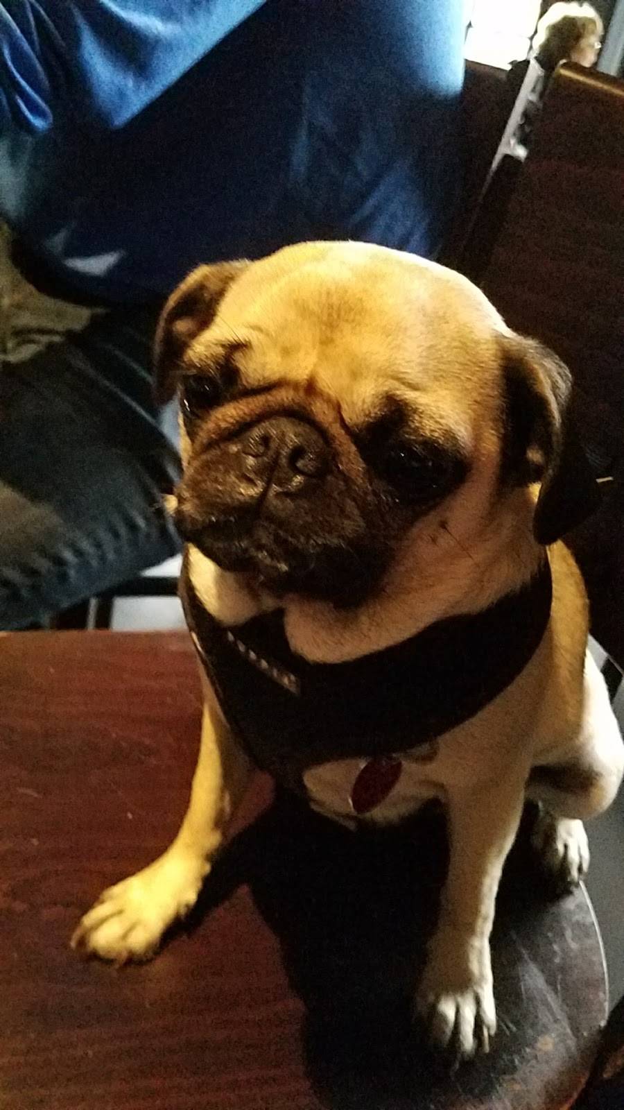 Fly | restaurant | 762 Divisadero St, San Francisco, CA 94117, USA | 4157801630 OR +1 415-780-1630