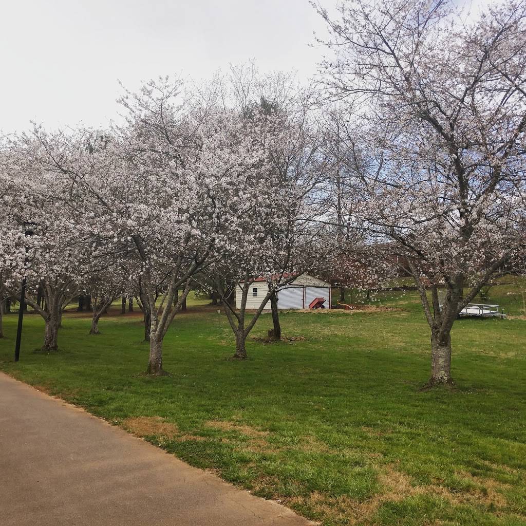 Sandy Springs Park | meal takeaway | 702 Best St, Maryville, TN 37803, USA | 8659839244 OR +1 865-983-9244