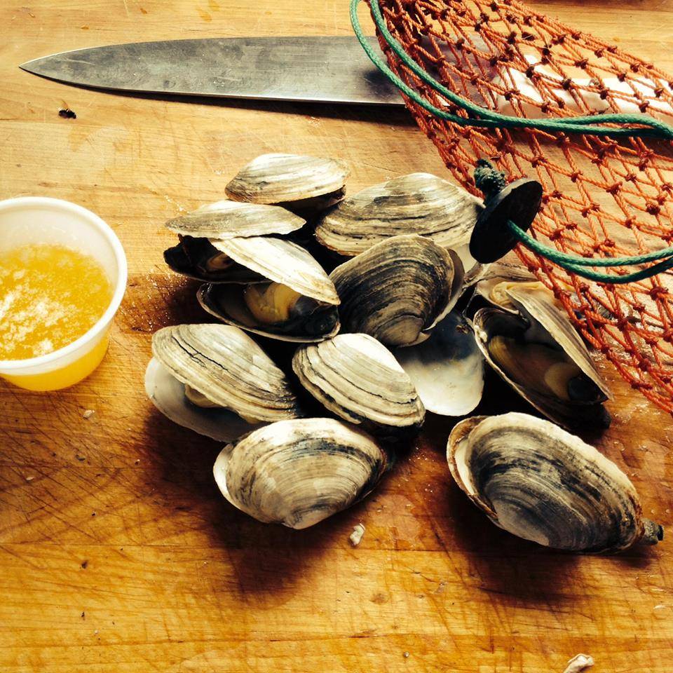 Bar Harbor Lobster Co. | restaurant | 297 Main St, Bar Harbor, ME 04609, USA | 2072882529 OR +1 207-288-2529