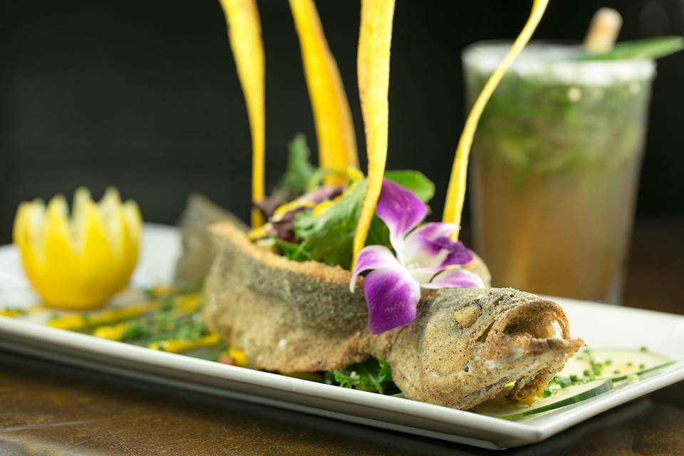 Ola Latin Kitchen | restaurant | 694 Brooklawn Avenue, Bridgeport, CT 06604, USA | 2032964884 OR +1 203-296-4884