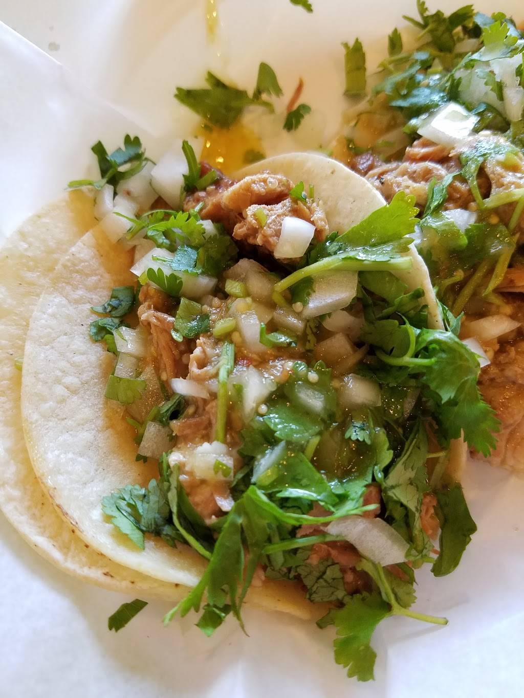 Green Cactus | restaurant | 215 Mineola Ave, Roslyn Heights, NY 11577, USA | 5166263100 OR +1 516-626-3100