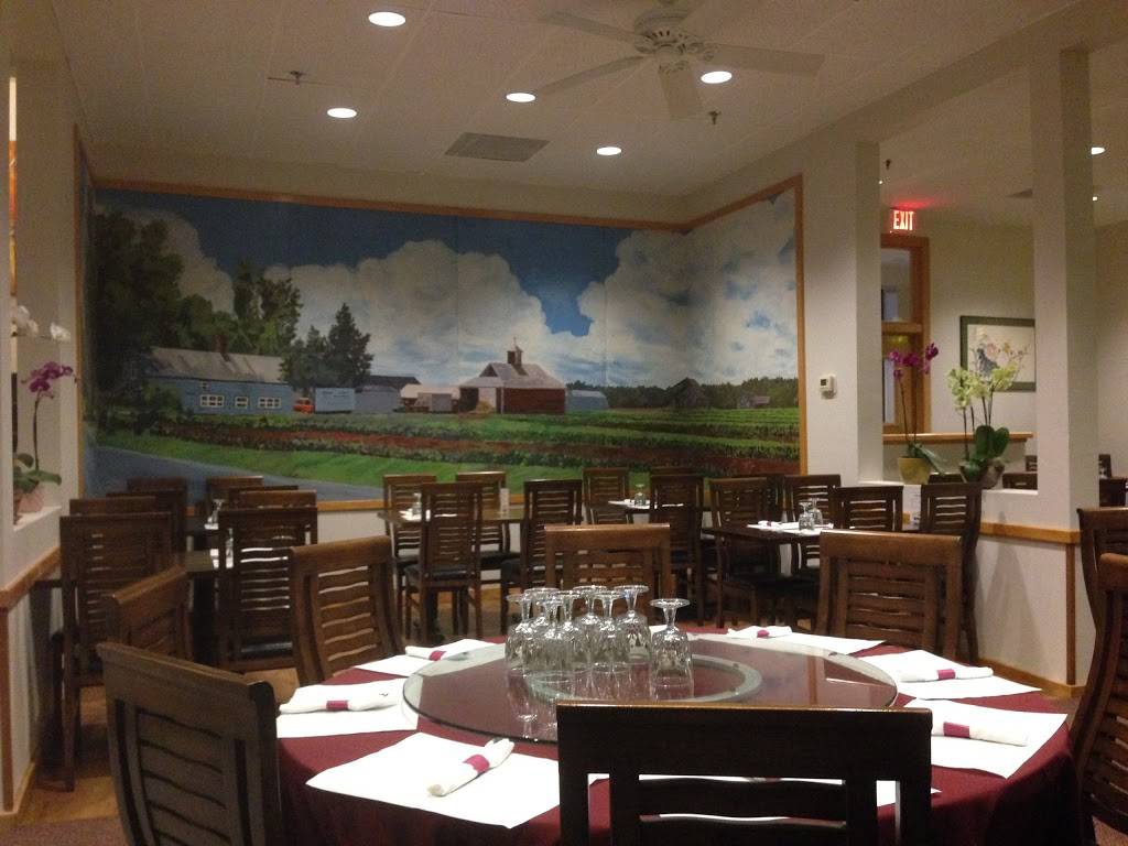 Formosa Chinese Restaurant | restaurant | 62 Main St, Amherst, MA 01002, USA | 4132537835 OR +1 413-253-7835