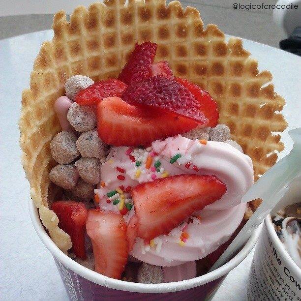 Menchies Frozen Yogurt | bakery | 1830 NE Pine Island Rd Ste 140, Cape Coral, FL 33909, USA | 2395739951 OR +1 239-573-9951