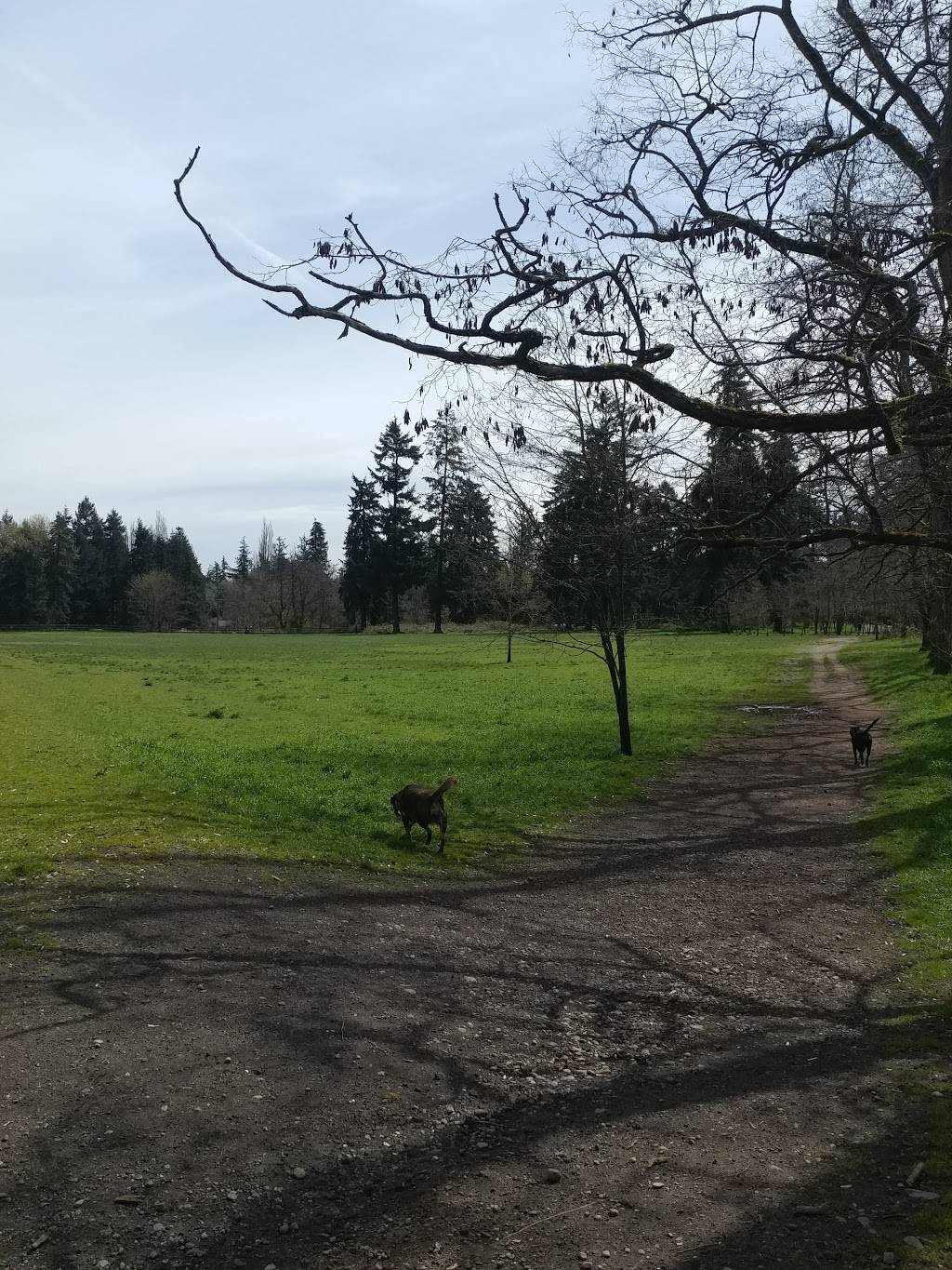 Starbucks | cafe | 5602 176th St E Building G, Puyallup, WA 98375, USA | 2538752458 OR +1 253-875-2458