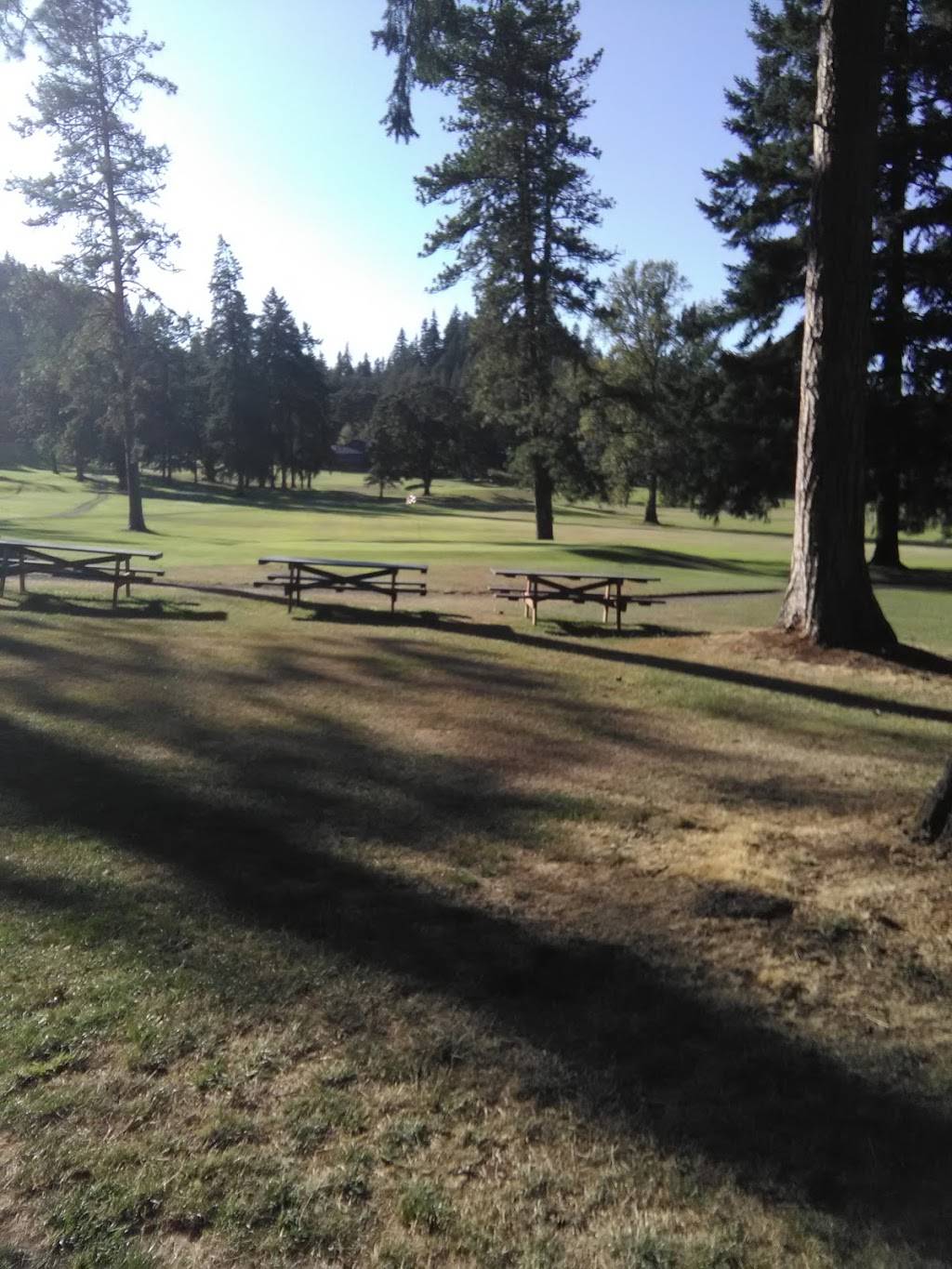 Pineway Golf Course | restaurant | 30949 Pineway Rd, Lebanon, OR 97355, USA | 5412588919 OR +1 541-258-8919