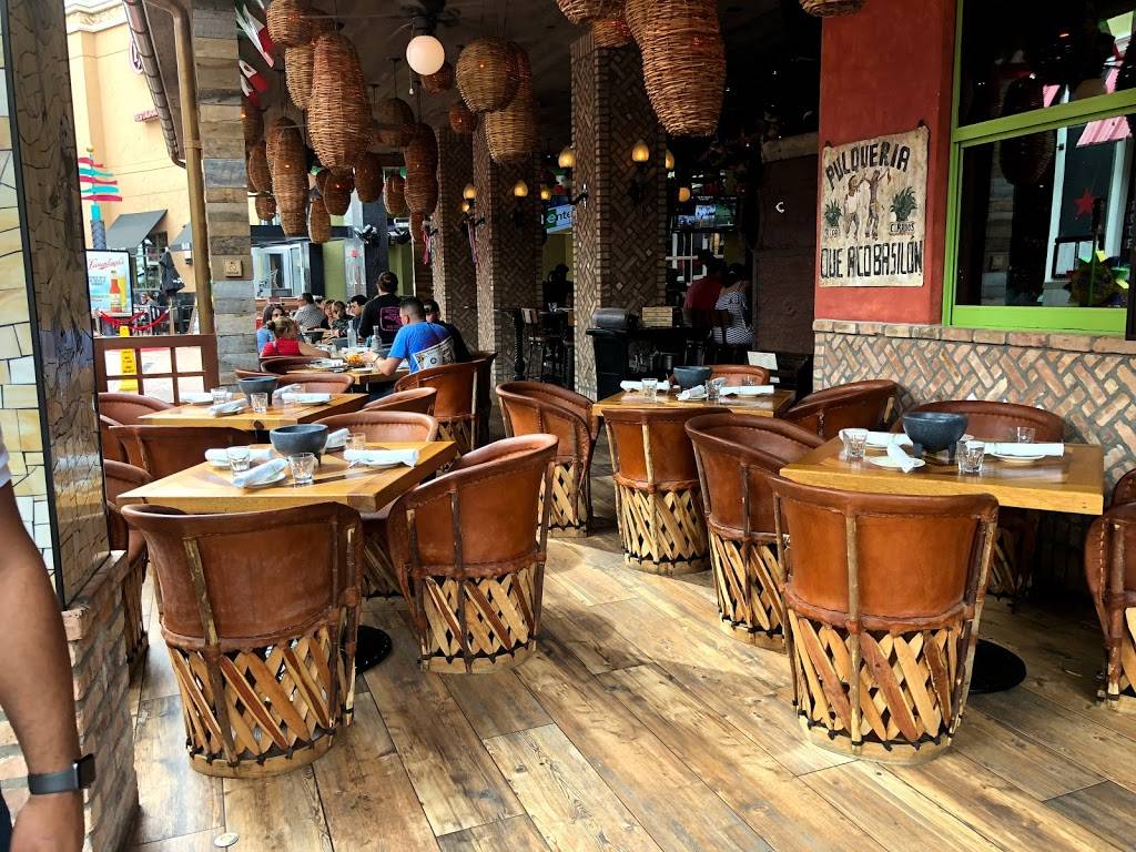 Rocco’s Tacos & Tequila Bar | restaurant | 2223 N Westshore Blvd Suite 203, Tampa, FL 33607, USA | 8138008226 OR +1 813-800-8226