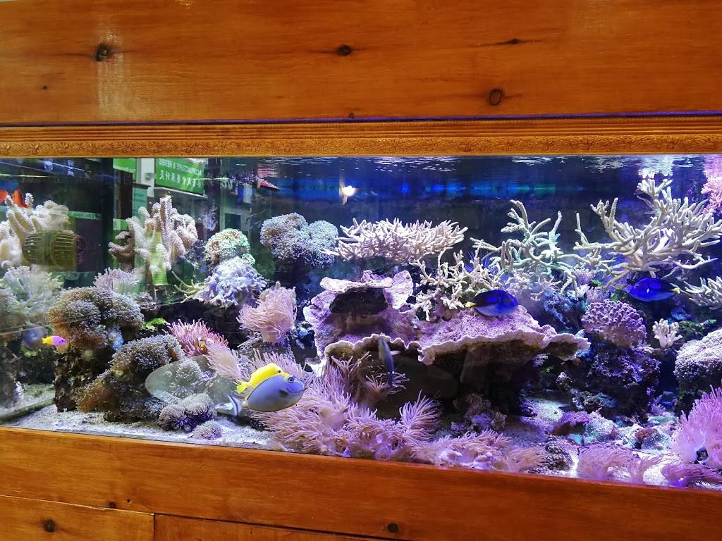 Hong Far Hong Kong Cafe 鴻發 | restaurant | 9425 Leslie St, Richmond Hill, ON L4B 3N7, Canada | 9057709236 OR +1 905-770-9236