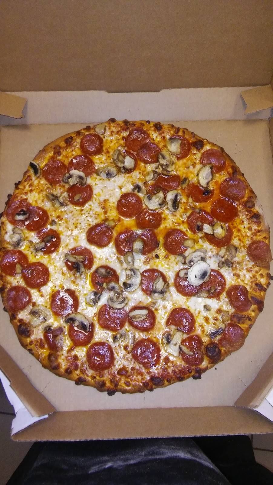 Dominos Pizza | meal delivery | 11200 E Dr Martin Luther King Jr Blvd, Seffner, FL 33584, USA | 8135715600 OR +1 813-571-5600
