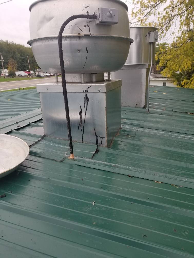 Cocina Hidalgo | restaurant | 3885 NY-104, Williamson, NY 14589, USA | 3159044329 OR +1 315-904-4329