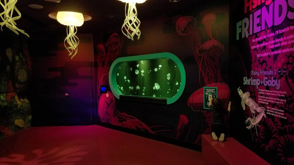 Popeyes Louisiana Kitchen | restaurant | 8111 Concord Mills Blvd Unit FC-1, Concord, NC 28027, USA | 7049717560 OR +1 704-971-7560