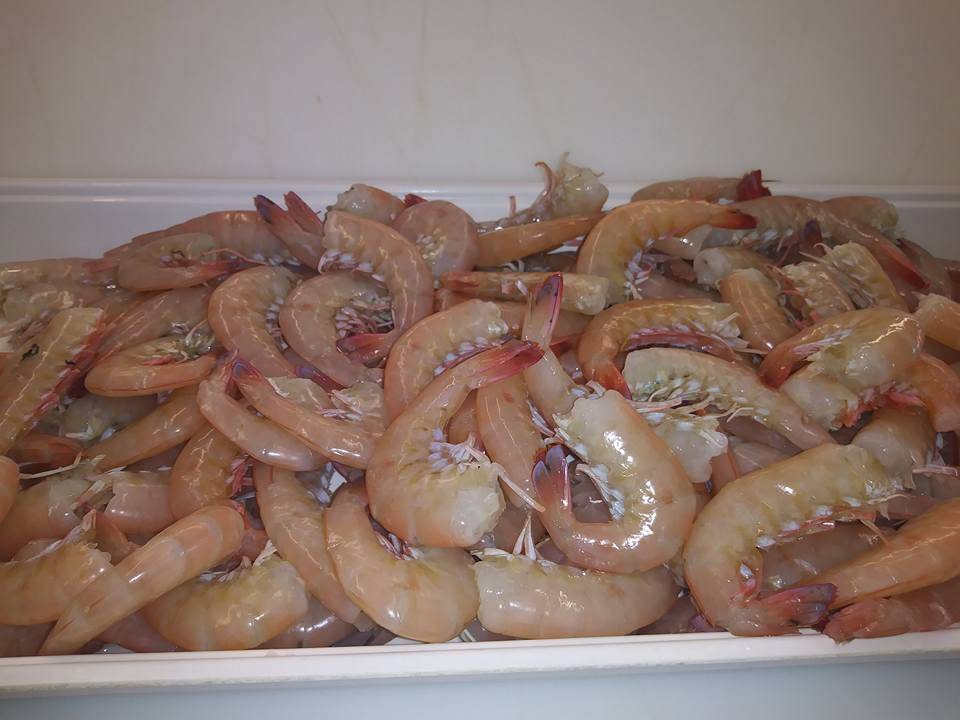 Seafood Market | restaurant | 16450 San Carlos Blvd #5, Fort Myers, FL 33908, USA | 2396896462 OR +1 239-689-6462