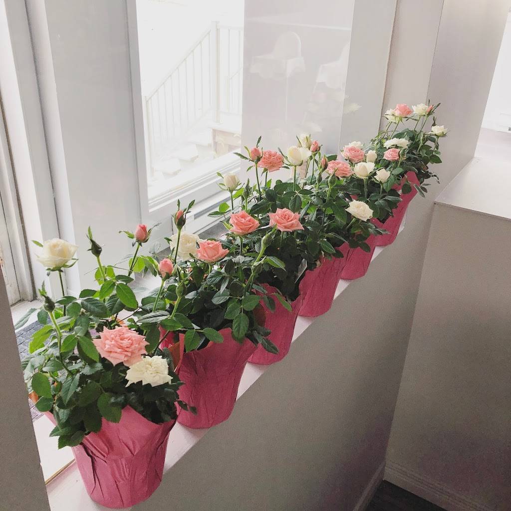 China Moon | restaurant | 273 Boulevard Saint-René O, Gatineau, QC J8P 2V7, Canada | 8196637710 OR +1 819-663-7710