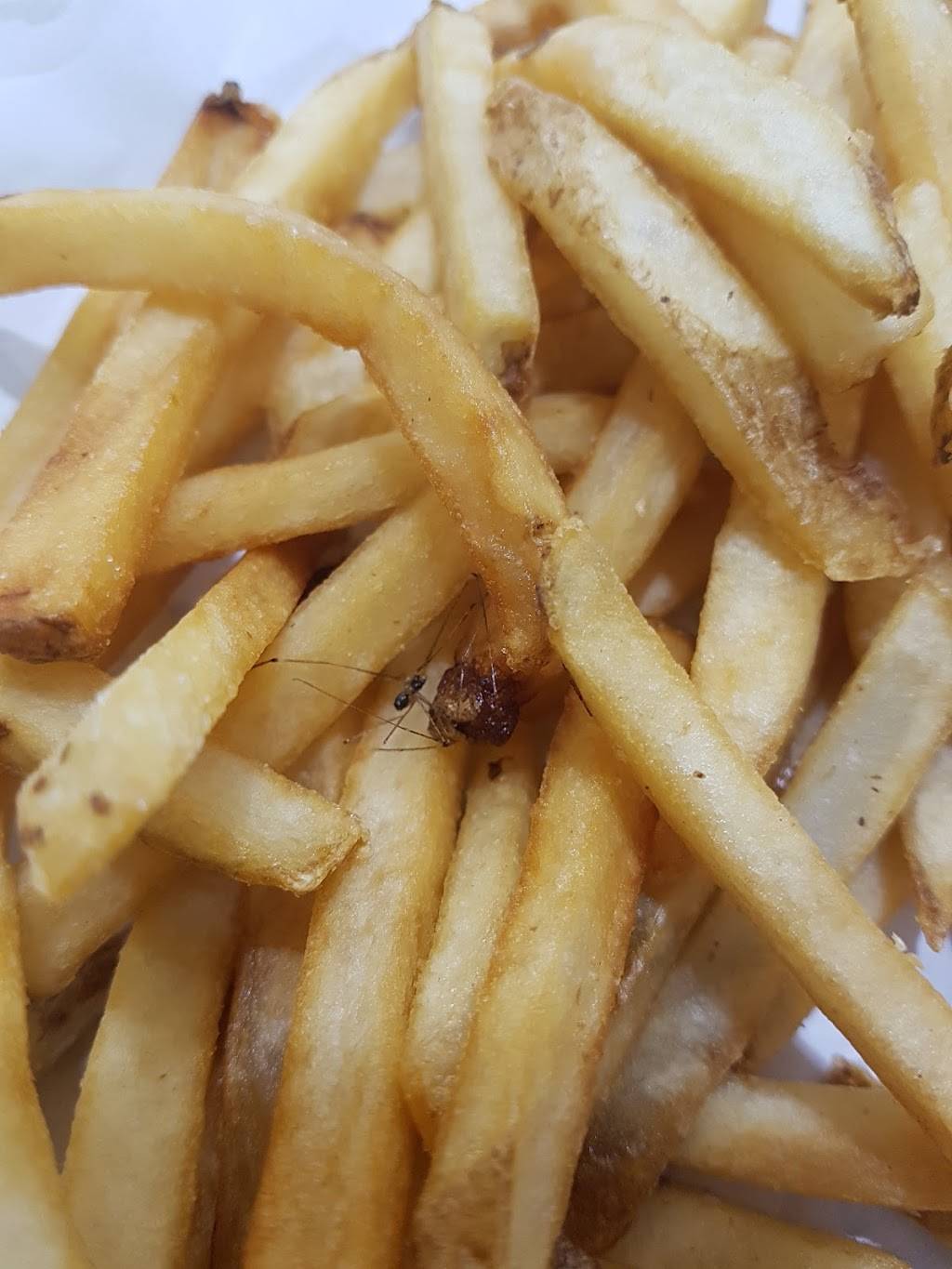 Wendys | restaurant | 2625 N International Pkwy, DFW Airport, Terminal E, Dallas, TX 75261, USA | 9729736404 OR +1 972-973-6404