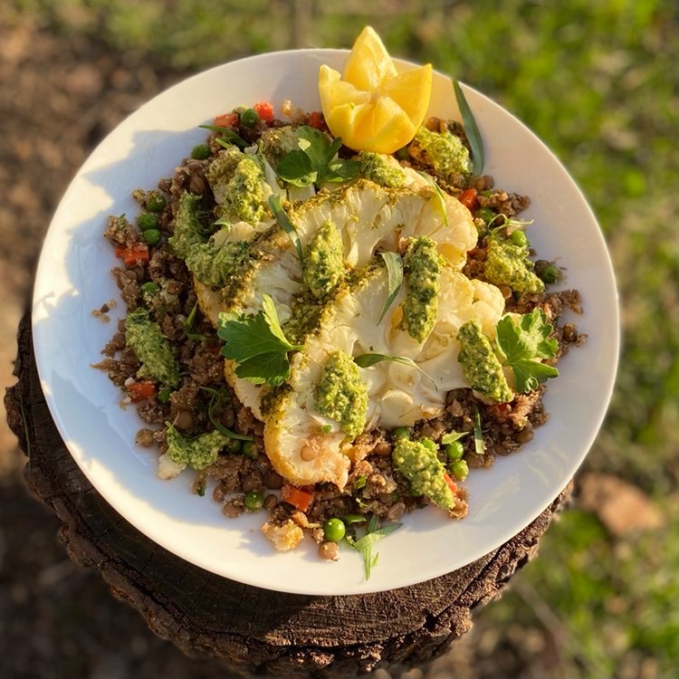 Volta Vegan | meal delivery | 201 N Forest Ave, Independence, MO 64050, USA | 8166862436 OR +1 816-686-2436