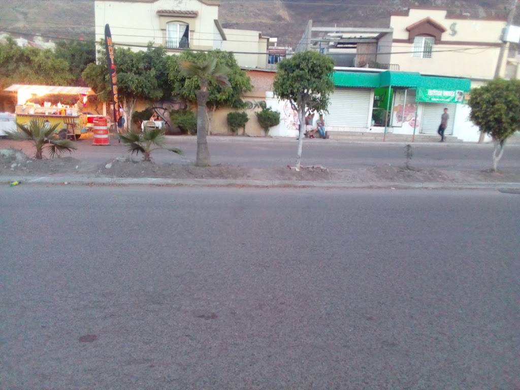 Hot Dogs & Hamburguesas #tanty | restaurant | Paseo del Bosque 25227_1, Del Bosque, Villa Residencial del Bosque, 22204 Tijuana, B.C., Mexico | 016644991115 OR +52 664 499 1115